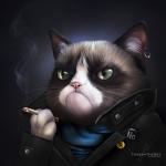 Аватар для Shakil